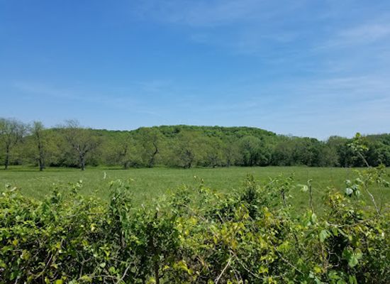 oklahoma/green-country/attraction/redbud-valley-nature-preserve