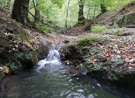 hungary/pilis-mountains/attraction/magda-forras