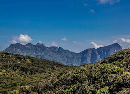 sri-lanka/knuckles-mountain-range/attraction/five-peaks-of-knuckles