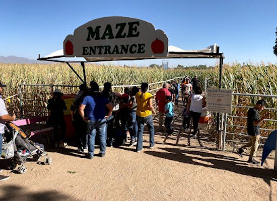 new-mexico/mesilla-valley/attraction/mesilla-valley-maze