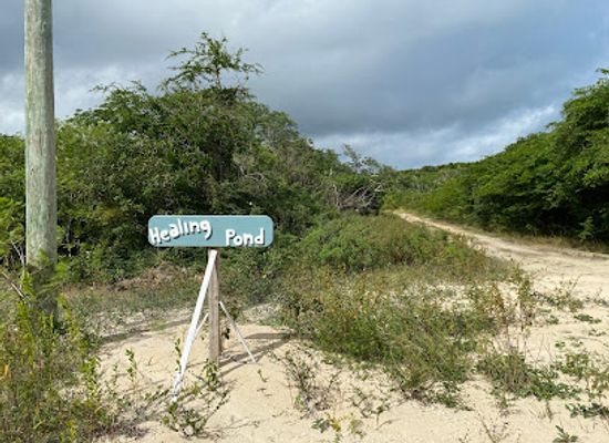 the-bahamas/cat-island/attraction/healing-pond