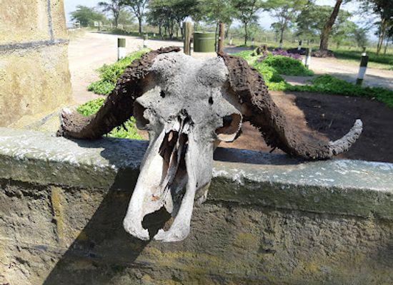 kenya/lake-nakuru-national-park/attraction/lake-nakuru-lanet-gate