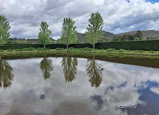 australia/high-country/attraction/high-country-gardens-gallery-and-maze