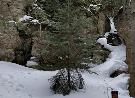 poland/gorce-mountains/attraction/wychodnie-skalne-pod-wysznia