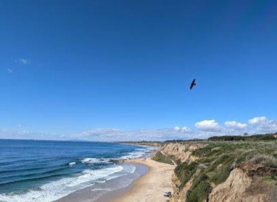 california/irvine/attraction/crystal-cove-state-park