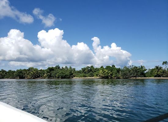 belize/vaca-plateau/attraction/payne-s-creek-national-park