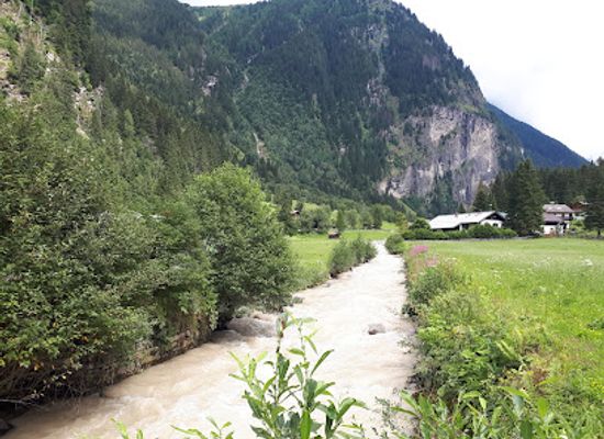 austria/bad-gastein/attraction/alpakawanderung-koetschachtal