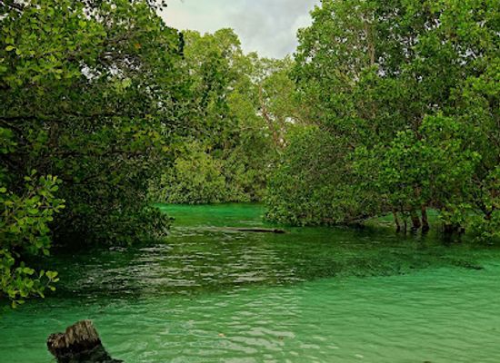 indonesia/north-kalimantan/attraction/suaka-margasatwa-pulau-semama