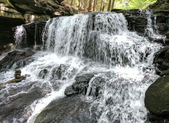 new-york/catskill-mountains/attraction/willowemoc-wild-forest