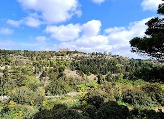 malta/buskett-gardens/attraction/buskett-woodlands