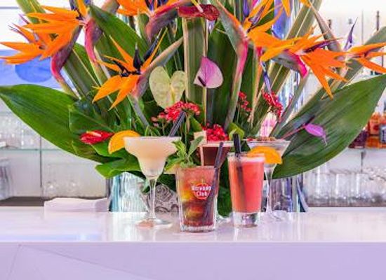 monaco/la-rousse/attraction/casino-cafe-de-paris