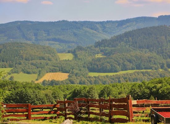 czechia/jeseniky-mountains/attraction/adrenalin-park-jeseniky