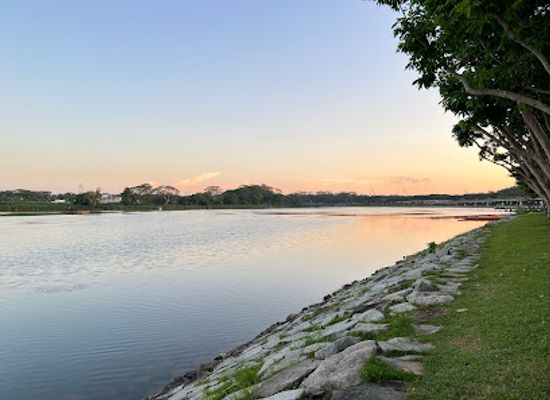 singapore/west-region/attraction/lower-seletar-reservoir-park