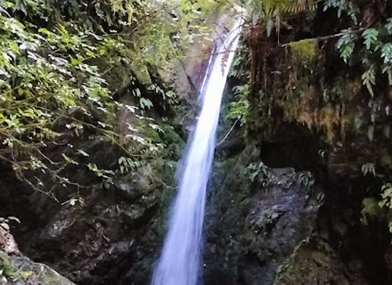 new-zealand/canterbury/attraction/emily-falls