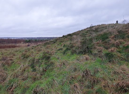 denmark/thy-national-park/landmark/eshoj-gravhoj