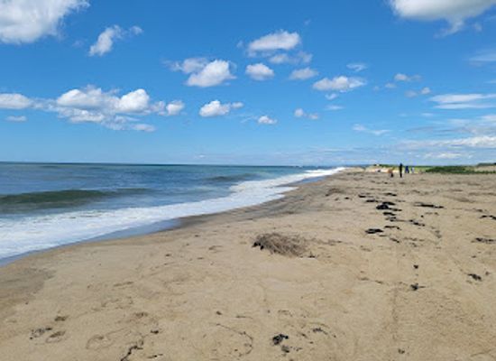 massachusetts/dukes-county/attraction/south-beach