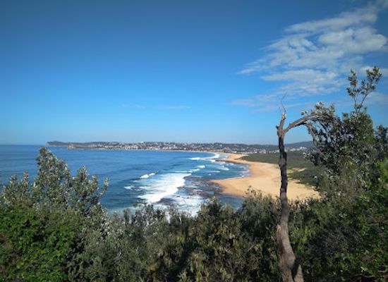 australia/central-coast/attraction/wamberal-lagoon-nature-reserve