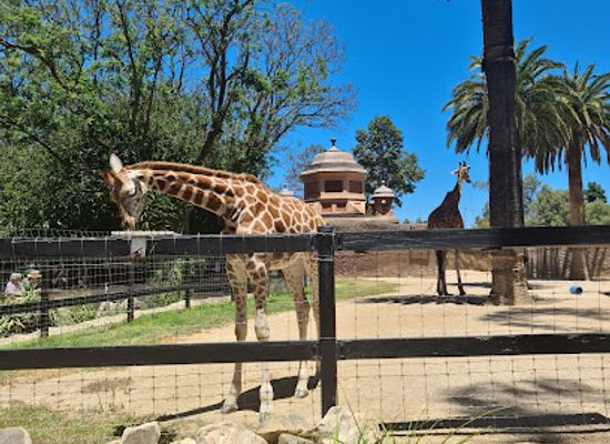 australia/adelaide/north-adelaide/attraction/adelaide-zoo