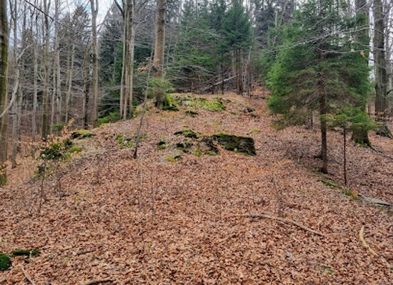 czechia/jizera-mountains/attraction/zanikly-skokansky-mustek