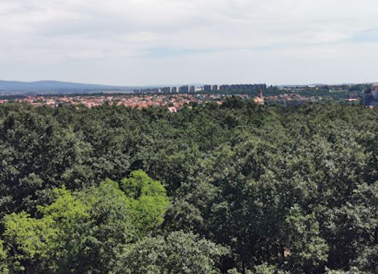 hungary/transdanubia/attraction/gulya-high-hill-lookout