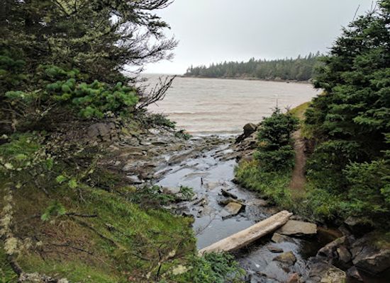 canada/maritimes/attraction/slack-s-cove-unesco-fundy-biosphere-reserve-amazing-place