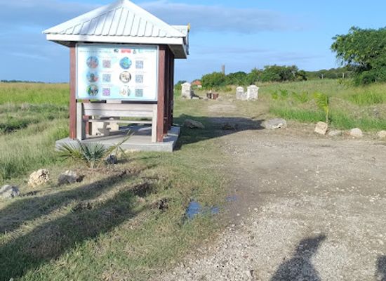 barbados/saint-peter/attraction/barbados-trailway