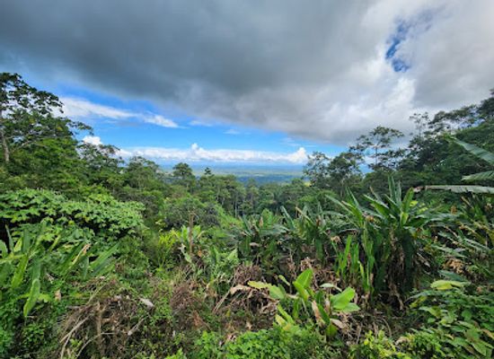 costa-rica/monteverde-cloud-forest/attraction/mirador-valle-escondido-preserve
