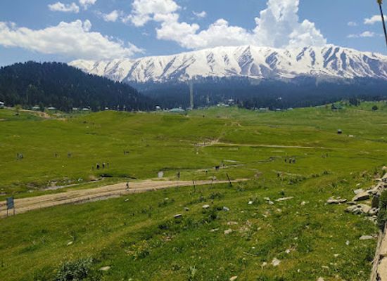 india/gulmarg/attraction/kashmir-gulmarg