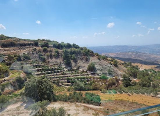 cyprus/paphos-forest/attraction/kolios-winery