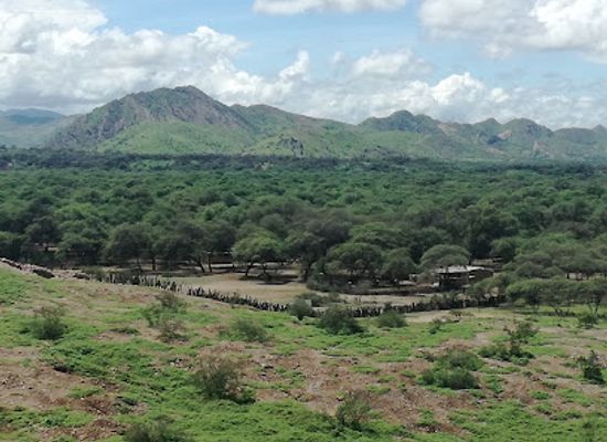 peru/lambayeque/attraction/bosque-de-pomac-historic-sanctuary