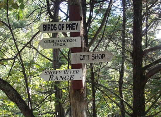 kentucky/pennyroyal-plateau/attraction/kentucky-down-under-adventure-zoo