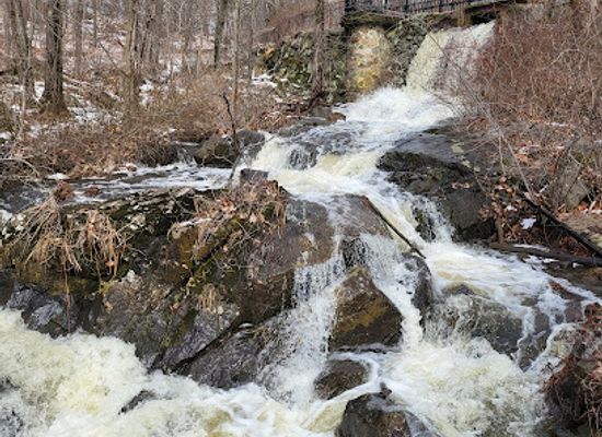 massachusetts/waltham/attraction/beaver-brook-reservation