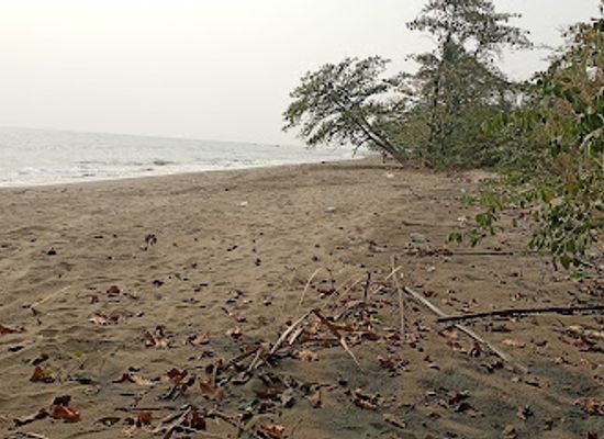 cameroon/east-region/attraction/enyenge
