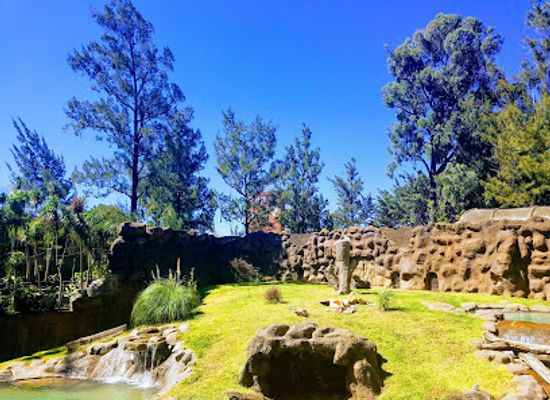 guatemala/verapaces/attraction/zoologico-la-aurora