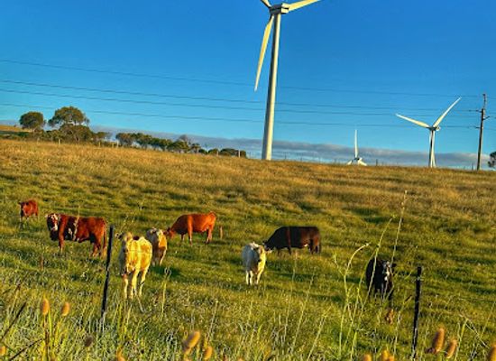 australia/limestone-coast/attraction/woakwine-range-wind-farm-tourist-drive