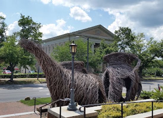 north-carolina/chapel-hill/attraction/ackland-art-museum