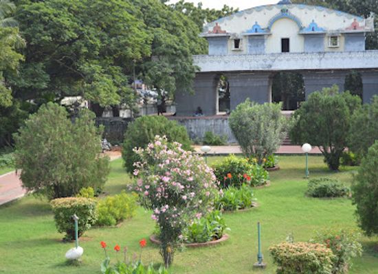 india/chennai/adyar/attraction/chennai-snake-park