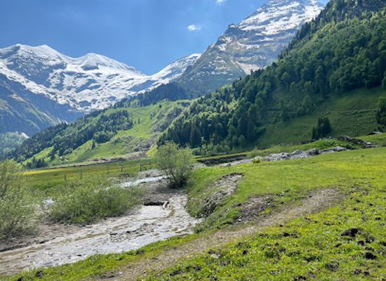 austria/grossglockner/attraction/wild-adventure-park-ferleiten
