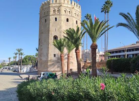 spain/seville/attraction/torre-del-oro