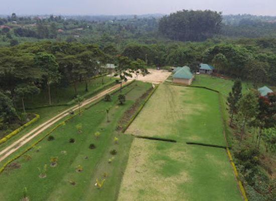 uganda/kibale-national-park/attraction/tooro-botanical-gardens