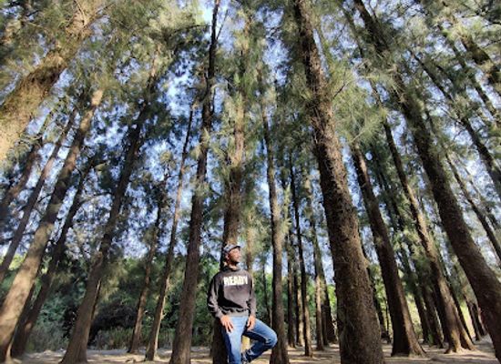 india/mahabaleshwar/attraction/whistling-woods