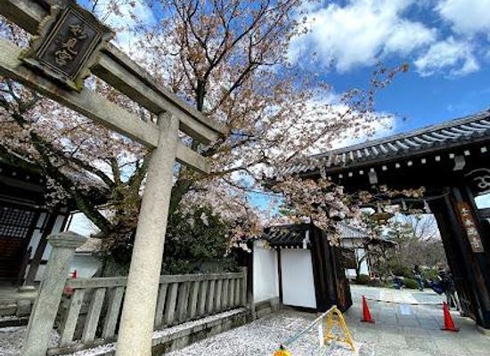 japan/kinki-kansai/attraction/homman-ji-temple