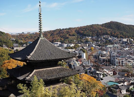 japan/osumi/attraction/cat-alley-neko-no-hosomichi