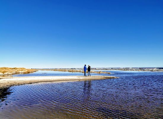 denmark/the-north-sea-islands/attraction/dueodde