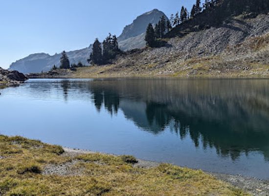 washington/mount-baker/attraction/lake-ann-trail