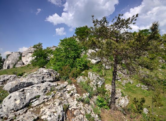 poland/silesia/attraction/jaskinia-gleboka