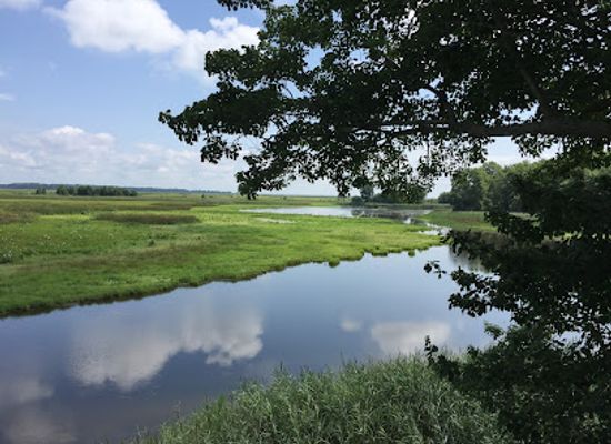 new-jersey/delaware-bayshore/attraction/bombay-hook-national-wildlife-refuge
