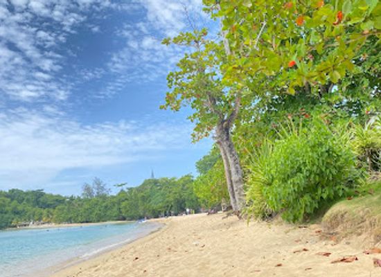 jamaica/runaway-bay/attraction/shaw-park-beach