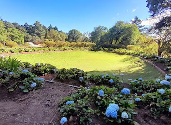el-salvador/western-region/attraction/montecristo-trifinio-national-park