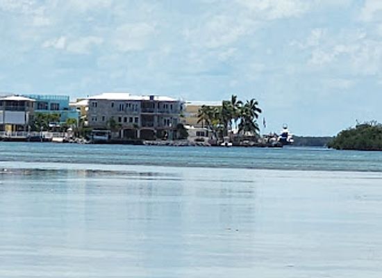 florida/islamorada/attraction/wild-bird-sanctuary-florida-keys-wild-bird-center